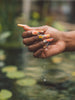Playing Koi